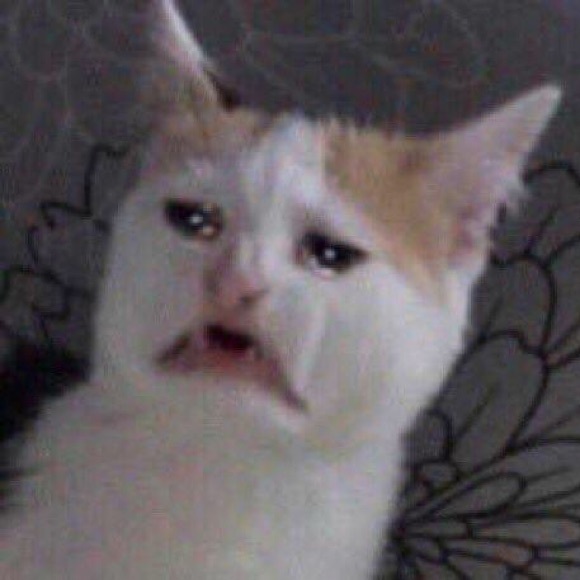 Meet your Posher, Christy - Picture 1 of 1